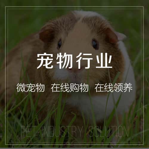 扬州宠物