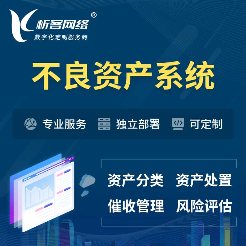 扬州不良资产管理系统