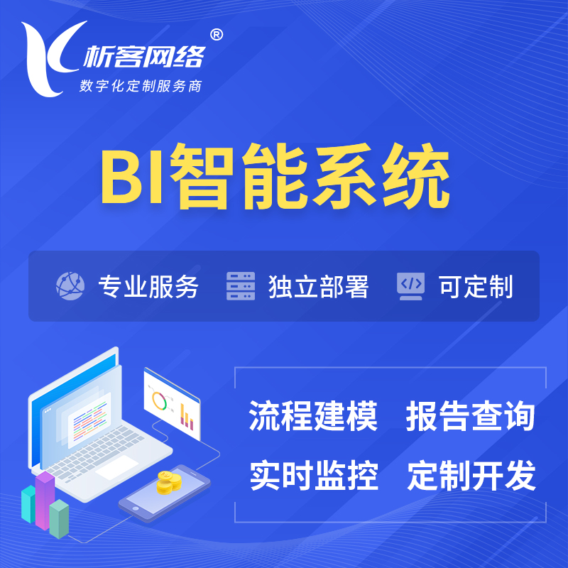 扬州BI智能系统 | BI数据可视化